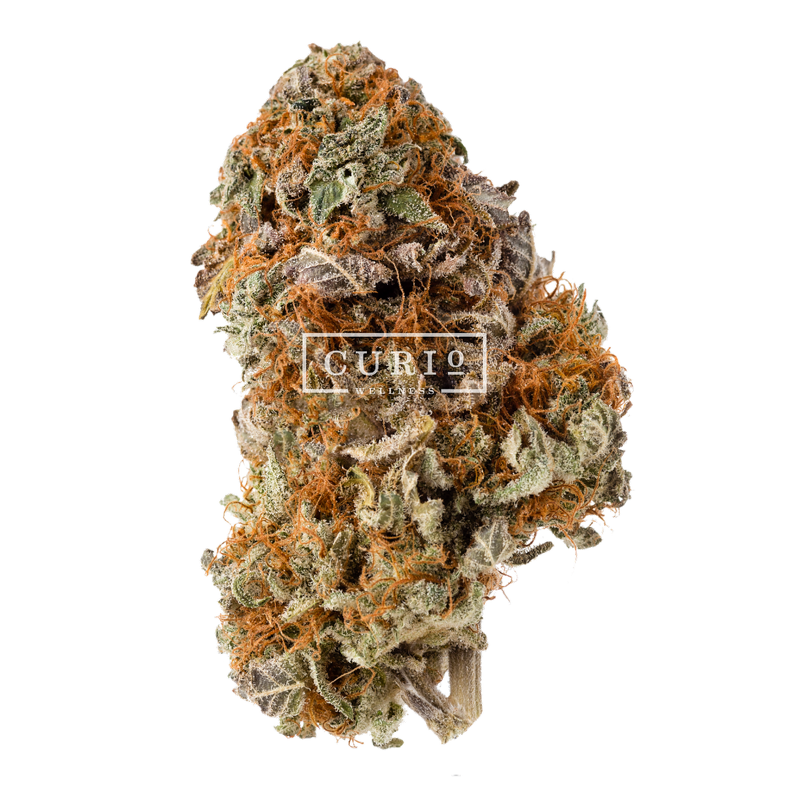 Blue Cheese (25% THCA)